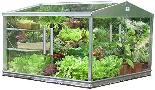 Access 4ft Cold Frame, Mini Greenhouse, Sturdy Aluminium Small Greenhouse for Gardens, Sliding Panes with Shelving for Easy Access & Ventilation, Toughened Safety Glass, Made in Britain (4ft x 4ft)