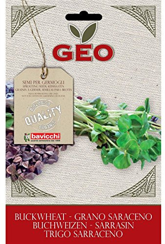 Geo Graine à Germer Sarrasin Brun 12,7 x 0,7 x 20 cm