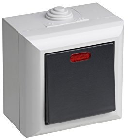 Meister Kontrollschalter 1-fach, Aufputz, IP54, Delta, 7417090, Grau