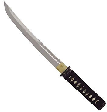 John Lee Asien Aikuchi Tanto, 85725