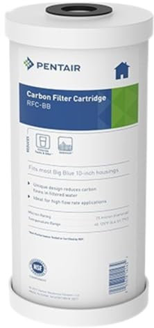 Pentair Pentek RFC-BB Big Blue Radial Flow Carbon Water Filter