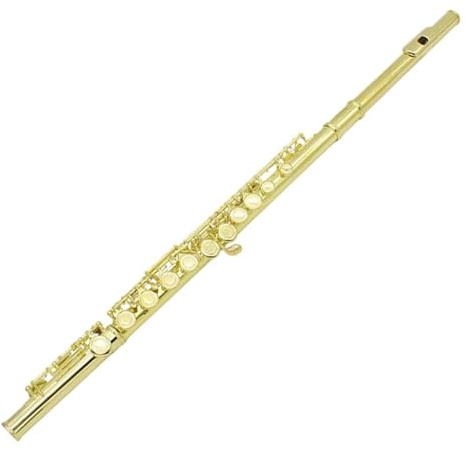 Professionelle Querflöte 16-Loch-C-Ton-Flöteninstrument Mit Geschlossenem Loch Für Schüler Und Erwachsene Mit Koffer Und Zubehör (Color : Gold)