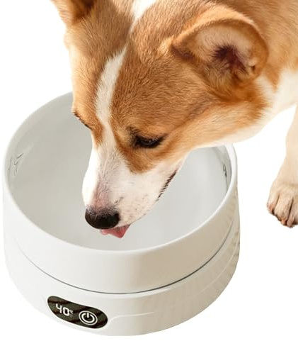Gamelle thermique pour animaux de compagnie - Gamelle chauffante pour chien et chat - Plaque de température à 4 niveaux - Gamelle d'eau d'hiver | Chiots, chatons, oiseaux, poules, animaux, boire