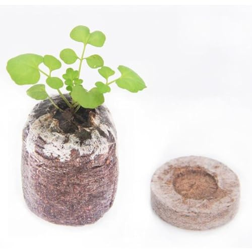 ibasenice 20 Pastillas de Turba Prensada para Semilleros, 3 Cm de Diámetro, Bloques Nutritivos Comprimidos para Germinación y Sustrato de Arranque en Jardinería, Pellets de