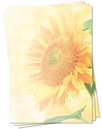 Motiv Briefpapier (Sommer-5094, DIN A4, 100 Blatt) Briefpapier mit großer goldener Sonnenblume im Sommer-Sonnenlicht