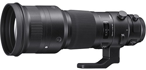 Sigma 500mm F4,0 DG OS HSM Sports Objektiv (46mm Filterschublade) für Canon Objektivbajonett
