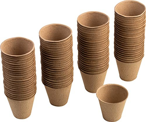 Meister Anzuchttöpfe Ø 8 cm - Praktisches Set mit 96 Stück - Aus Papierzellstoff - Biologisch abbaubar, Pflanztopf, Saattopf, Pflanzenanzucht, WU9968320