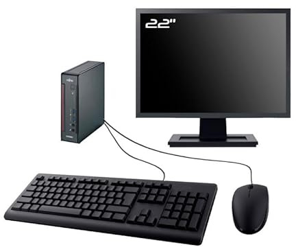 Fujitsu Esprimo Q556 - Mini PC da 22, Intel G4400T, RAM, 8 GB HDD, 500 GB, W10, WiFi (ricondizionato)