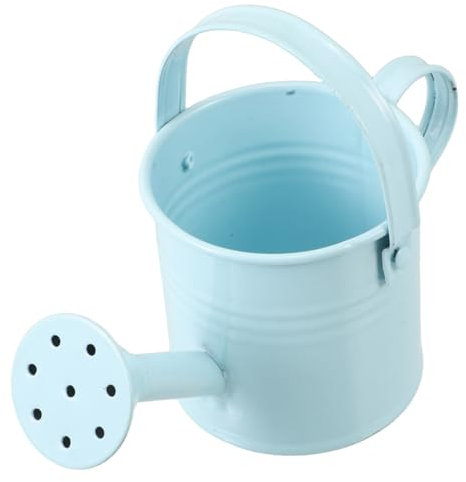 BESPORTBLE Mini Tetera Cubo De Maceta Retro Herramienta De Riego Regadera Galvanizada Macetas Suculentas Creativas Bote De Flores De Metal Macetas De Estaño Sky-Blue Acero Galvanizado