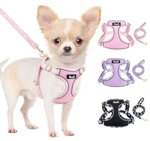 Eyein Hundegeschirr für Kleine Hunde mit Leine, Atmungsaktiv Air Mesh | Verstellbarer & Reflektierend, Leichtgewicht Step-in Brustgeschirr für extra kleine/kleine mittelgroße Hunde (Rosa, XS)