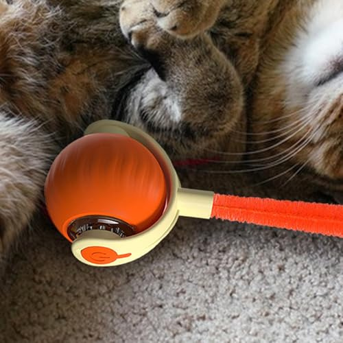 Jouet de chat interactif automatique - 3 Tails Rechargeable Pet Toy, 2 vitesses Boule d'enrichissement pour les petits chats moyens | Jouet de poursuite de chat intelligent pour le plaisir et la stimu