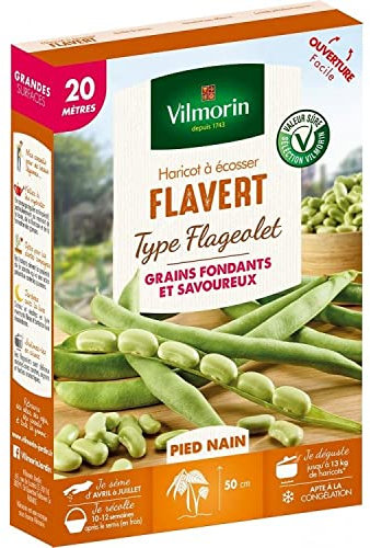 Haricot Nain à Ecosser Flavert (type Flageolet) - 20 m
