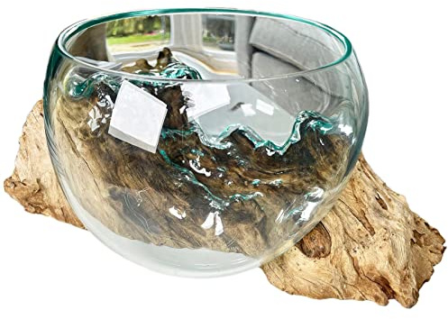 Darthome Molten 20cm Fruit Bowl On Teak Root Stand Glass Rustic Wood Decorative Sculpture