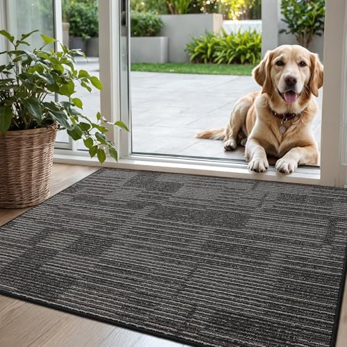 DEXI Fußmatte Innen 80 x 120 cm, rutschfest Schmutzfangmatte, absorbierend Fussmatte, dünn Türmatte Sauberlaufmatte für Hund, Eingang, Haustür & Flur, Kohlgrau