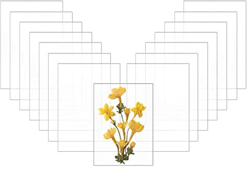 Lastra Acrilica, 16Pz Lastra di Vetro Acrilico per Cornice per Foto/Visualizzazione di Progetti/Pittura, Lastra di Vetro Acrilico in Plastica Spessa 1mm e Lastra in Vetro Acrilico Trasparente(15*10cm)