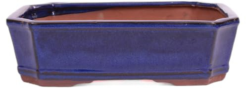 generisch Bonsai - Schale eckig 26 x 20 x 7.5 cm blau 30428