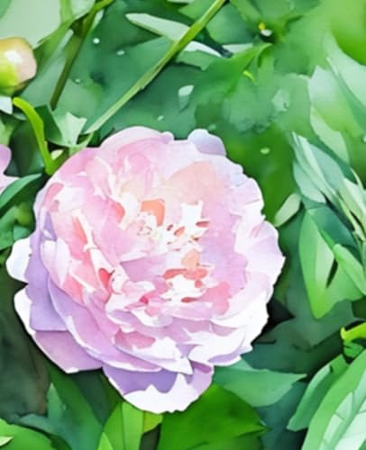 A Year in Bloom: Journal: Vine Street Design Co. x Blooms on Vine Watercolor Series