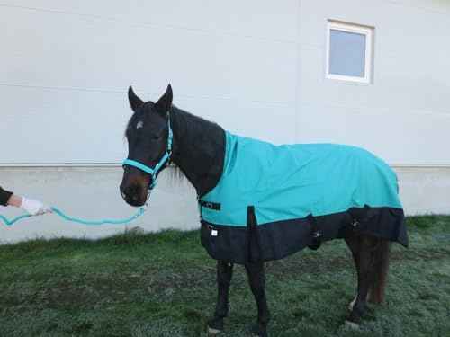 Pferdedecke Winterdecke 1200D, 400g Highneck 125, 135, 145, 155 & 165 cm Outdoordecke (Blaugrün, 125 cm)