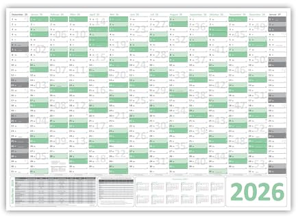 Green Wandkalender/Wandplaner 2026 (gerollt) DIN A1 Format (594 x 841 mm) 14 Monate, komplette Jahresvorschau Folgejahr und Ferientermine Feiertage aller Bundesländer