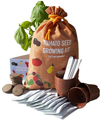 Scott&Co. Tomato Seed Kit, 10 Different Tomato Seeds Varieties to Grow Your Own, Cherry, Moneymaker, Tigerella. Seeds, Pots, Labels and Compost Discs. Gardening Gifts for Women and Men.