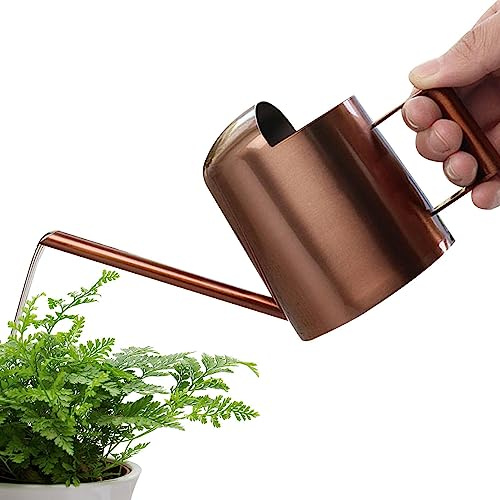 Regadera Caño Largo - Agua Acero Inoxidable para jardín | Mini Caldera riego Plantas Pico Largo 10oz para Plantas en macetas pequeñas Jardinero Wenmin