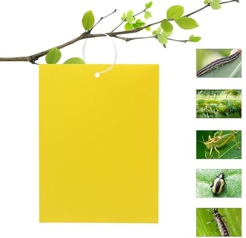 50 Pezzi Trappole Appiccicose,Trappole Adesive per Insetti su Entrambi I Lati, Autoadesive, Biadesivo Trappole Ecologiche per Insetti per Mosche Bianche, Zanzare, Tarme Altri Insetti - 15cm x 20 cm