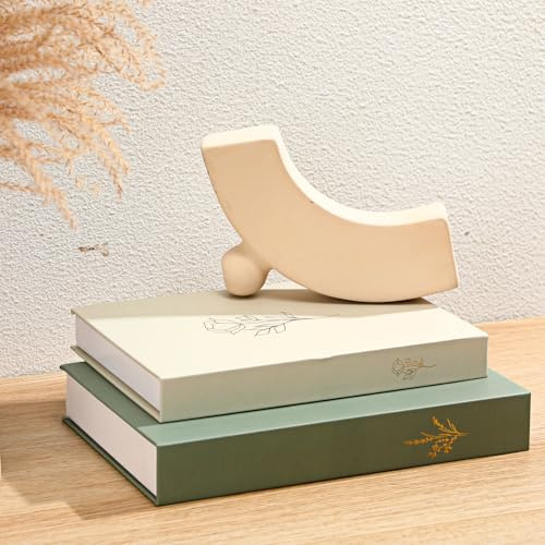 Cinnvoice Set of 2 Aesthetic Decorative Books Boxes, Faux Books Stacked for Decoration for Coffee Tables Modern Home Bookshelves Decor, Fake Fashion Photo Storage Boxes(Sage Green Beige)
