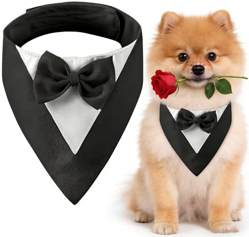CENCERY Hundesmoking, Hundehochzeit Bandana Kragen mit Fliege Kleine Hunde Hundesmoking Hundekostüme für kleine Hunde Hundeanzug Kostüm für Hunde Hochzeit, und Geburtstag (Hals:20-30cm/Schwarz)