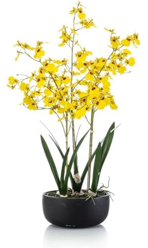 artplants.de Künstliche Oncidium Orchidee DEISHA in Dekoschale, Wurzeln, gelb, 70cm - Unechte Orchidee