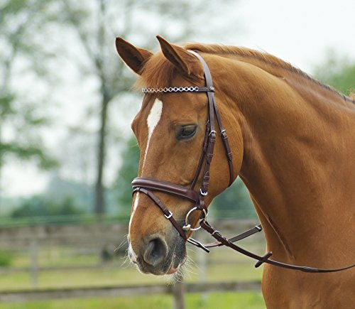 BUSSE Trense CAMBRIDGE, Pony, cognac/Jump-silber