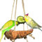 Vogelgaleria® Spannende Korkschaukel M, Vogelschaukel, Sitzbrett und Pickstein zugleich