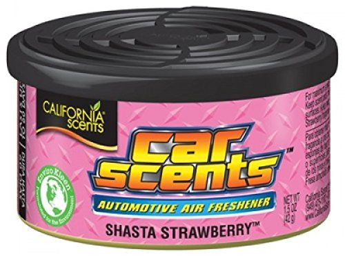 California Scents Car Scents Autoduft Lufterfrischer Duftdosen Air Freshener, Shasta Strawberry, 42g (12 Stück)