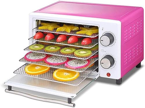 IUBGFTO Stainless Steel Food Dehydrator, Temperature Control - Programmable Timing, With 5 Trays, Fruit And Vegetable Herbs, Pet Food Dryer, 300W Mini Home