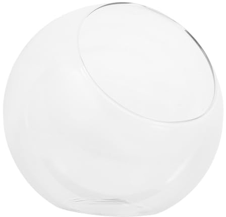 AKOOSY Glasvase Mit Schrägem Mund Mikrolandschaft Glas Pflanzenbehälter Für Hydroponik DIY Sukkulenten Luftpflanzen Dekor Klarer Übertopf Für Wohnzimmer Büro