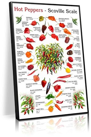 Hot pepper spiciness guide poster, from bell peppers to Carolina Reapers, over 30 varieties, art decoration for kitchen wall art, teaching, office wall decoration(L18 xW12-CANVAS)