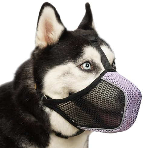 Hundemaulkorb, weicher Netzmaulkorb für große, mittelgroße und kleine Hunde zum Fressen, Fellpflege, Beißen, Kauen, atmungsaktiver Maulkorb mit Halsband für Labrador Retriever Poodle Husky