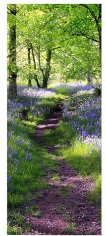 TüRtapete Selbstklebend TüRposter TüRaufkleber Tapete, Wandaufkleber für Schlafzimmer, Heimdekoration, wasserdicht, abnehmbares Premium Vinyl Upgrade, Waldblumenpfad, natürliche Landschaft