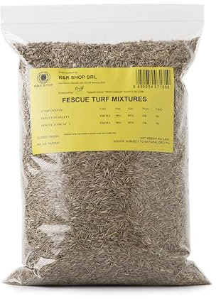 R&R SHOP - Semi per Prato, Festuca Arundinacea, Resistente e Duratura (5Kg - 200Mq)