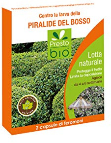 2 CAPSULE A FEROMONI PER LA LOTTA CONTRO LA PIRALIDE DEL BOSSO