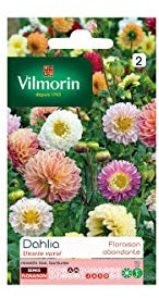 Sachet graines Dahlia Unwin varié