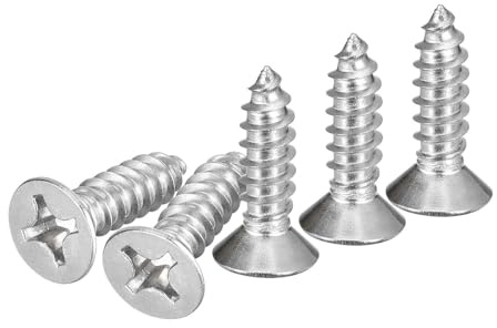 DTGN 100Stk #12x3/4 Linsenkopf Holzschrauben 304 Edelstahl Phillips Selbstschneidende Schrauben - Ideal Für Holzverarbeitung Möbel - Silber