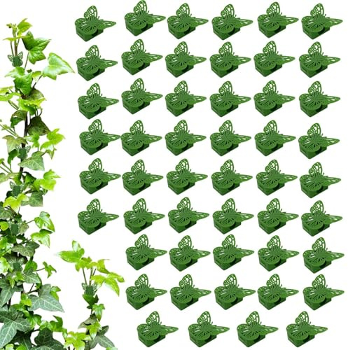 Clips muraux pour – Adhésif invisible réutilisable – Clips muraux pour pothos pour entraînement de clématite pothos intérieur extérieur maison bureau salon