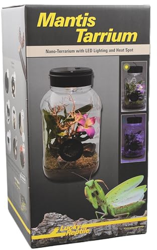 Lucky Reptile Arrium de Insectos - Mantis
