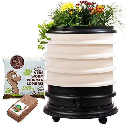 WORMbox | Wurmkomposter Wurmfarm Wurmkiste mit 4 Schalen Elfenbein + Pflanzgefäß + 500g Kompostwürmer / 1000 STK + 1 Coco | 64 Liter | Regenwurmkomposter, Kompostwürmer produzieren Wurmhumus