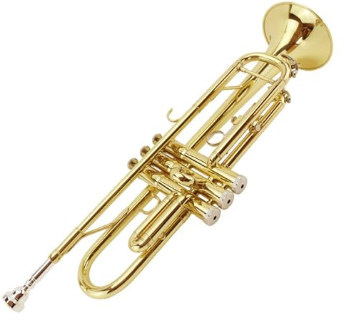 B-Trompete Anfänger Profi-Bühneninstrument