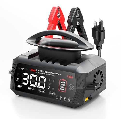 C30A - Cargador para baterías de coche, 6 V/12 V/24 V, cargador de batería para coche, moto, cortacésped, barco, litio, LiFePO4 y ácido de plomo (AGM, gel, MF, EFB, SLA, VRLA, Wet)