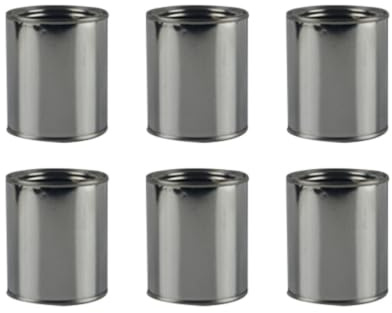 Hemobllo Pots de Peinture Ronds en Fer Argenté Stockage D'encre Peinture 0,3l Lot de 6 Pratiques et Solides et Domicile Usine