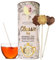 TEA On-A-Stick | boîte-cadeau assortie de délicieux thé gastronomique cristallisé dans un pop | fabriqué à partir de plan, de fruits et d'herbes | se dissout entièrement dans l'eau