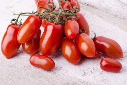 Tomate San Marzano Italienische Flaschentomate 100 Samen