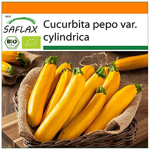 SAFLAX - BIO - Zucchina - Gold Rush - 5 semi - Cucurbita pepo var. cylindrica